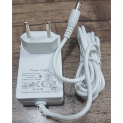 ADAPTOR 12V-2A Rongweixin