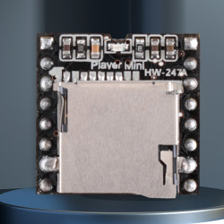 DF-PLAYER Module