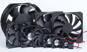 FAN
