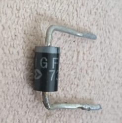 31GF04